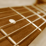 Fretted Instruments