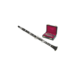 Buffet R13 Professional "A" Clarinet With Double Case BC1231-5-0